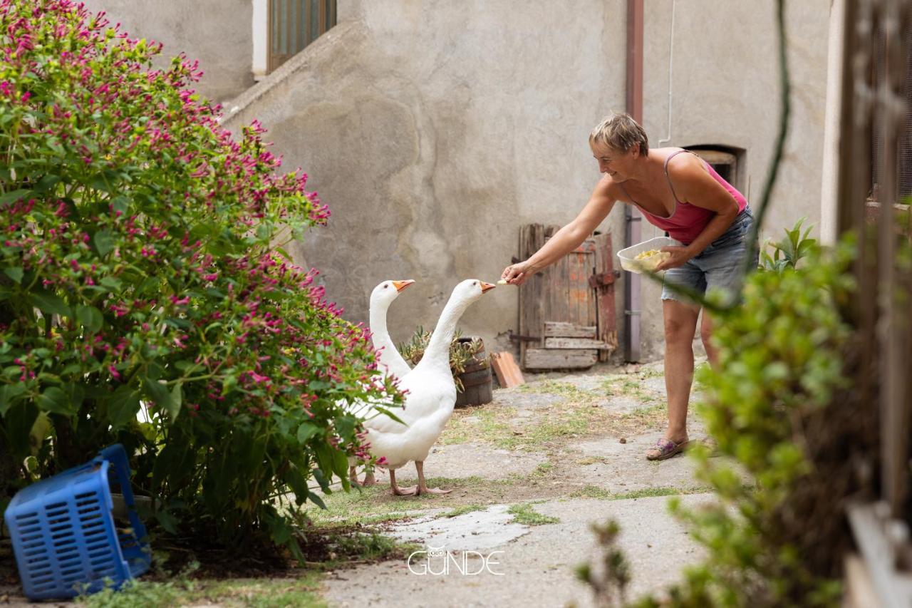 RoccalvecceLa Casa Contadina Nel Paese Delle Fiabe公寓 外观 照片